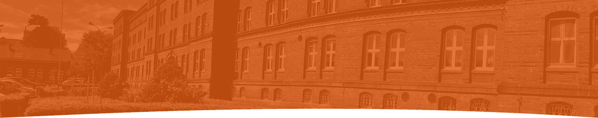 Zdjęcie tła sekcji